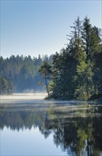 Pines and spruces line the shore of the mirror-smooth Étang de la Gruère moorland lake covered in