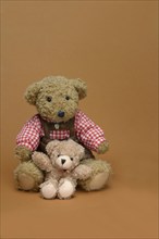 Two teddy bears, sitting, in front of a brown background, teddy