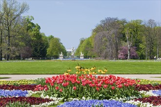 Large garden in Dresden