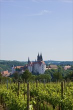 View of Meissen from the Proschwitz Estate