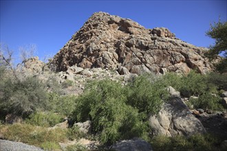 Wadi near Al Hamra with Colemans Rock, Oman, Asia