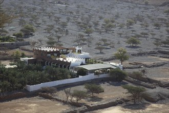 Palm grove in the bay of Bukha, in the Omani enclave of Musandam, Oman, Asia