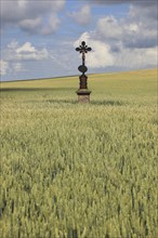 Field cross in a wheat field, near Dukovany, Czech Republic, Grain field with a lonely field cross,