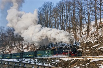 Little railway in Seifersdorf