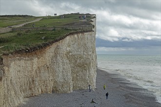 White Cliffs, Seven Sisters, Birling Gap, East Sussex, England, Great Britain