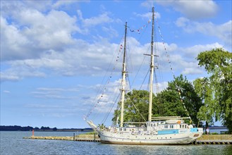 The schooner brig, The sail training ship GREIF ex WILHELM PIECK at its berth in the city harbour