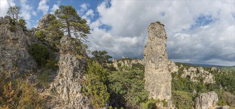 Rocks with strange shapes in the chaos of Montpellier-le-Vieux in the cevennes national park.