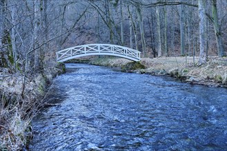 Wooden bridge over the Große Röder in the park of the Seifersdorfer Tal, one of the oldest German