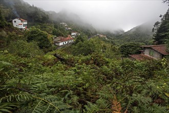 View from the PR11 Vereda dos Balcões hiking trail to the Miradouro Balcoes viewpoint, fog, Ribeiro