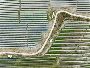 Rows of solar panels at the photovoltaic plant of Lucainena de las Torres, aerial view, drone shot,