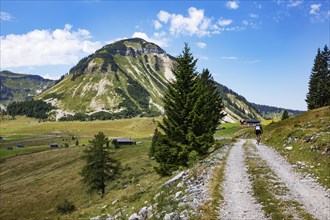 Mountain landscape, mountain biker on the Genneralm with Gennerhorn, Osterhorngruppe,