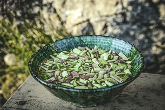 Cleaned and washed green beans in a stoneware bowl, La Lastra del Cano, Sierra de Gredos, Ávila,