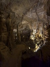 Caves of Drach, Coves del Drac, Porto Christo, Majorca, Balearic Islands, Spain, Mediterranean Sea,