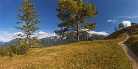 Panorama from Hoher Kranzberg, 1397m onto the cloudy Karwendel Mountains, Werdenfelser Land, Upper