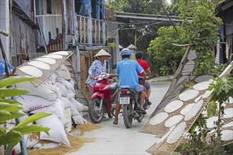 Sheets of edible rice paper, used for making fresh or fried spring rolls in Vietnamese cuisine