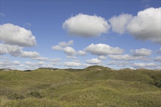 (Cumulus) clouds over the Dunes of Texel National Park, Nationaal Park Duinen van Texel on the