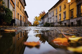 Old street in a small town after rain AI generated