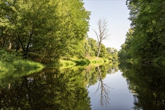 River landscape of the Thaya in late summer, Czech Republic, Europe