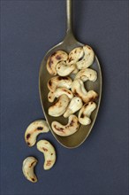 Cashew, roasted cashew nuts in spoon