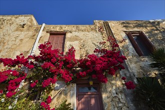 House facade, red geraniums, detail, brown doors, brown windows, Preveli, Orthodox monastery, south