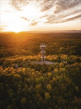 Aerial view of the Schönbuchturm in autumn forest at sunrise, Herrenberg, Germany, Europe