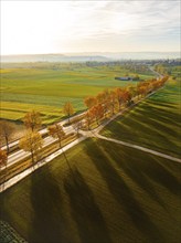 Aerial view of an avenue at sunrise in autumn, Herrenberg, Germany, Europe