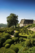 Boxwood garden, Les Jardins de Marqueyssac, Vezac, Dordogne, Périgord, Département Dordogne, Region