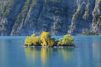 Small chive island in the turquoise waters of Lake Walen, Canton St. Gallen, Switzerland, Europe