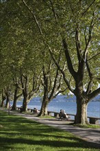 The Mettnau Park with the Istres Promenade on the shore of Lake Constance, Mettnau Peninsula,