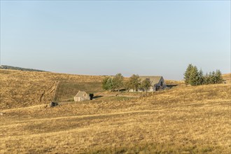 Landscape in Aubrac in summer, inspiring, infinite, enchanting, magical, peaceful, bewitching.