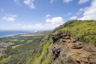 Sleeping Giant (Nounou Mountain) East Trail overlooking Wailua, Kauai, Hawaii, USA, North America