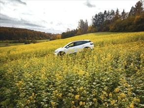 Volkswagen ID4 electric car in a rape field, Black Forest, Gechingen, Germany, Europe