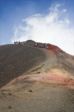 IT sicily syiracusa Sylvio Dittrich Photo subject to fee! Contact T.:01772156417 Etna Silvestri