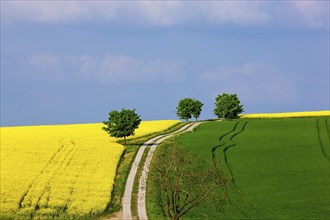 Landscape near Frauenstein