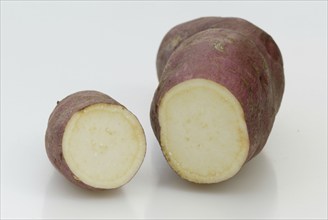 Sweet potato (Ipomoea batatas), vegetable, indoor, studio, landscape, horizontal, cropped, object,