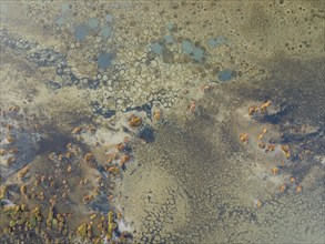 Conspicuous patterns at the bottom of the shallow lagoon Salinas de Cerrillos, aerial view, drone