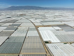 Masses of shimmering plastic greenhouses near El Ejido, aerial view, drone shot, Almería province,