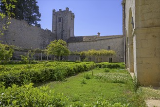 Inner courtyard of the Benedictine Abbey, Mljet Island, Dubrovnik-Neretva County, Croatia, Europe