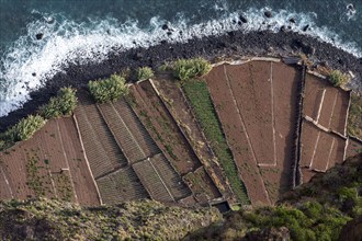 View from the glass-bottom skywalk, Cabo Girao, of terraced fields by the sea, Camara de Lobos,