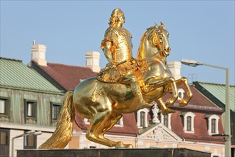 Golden Rider