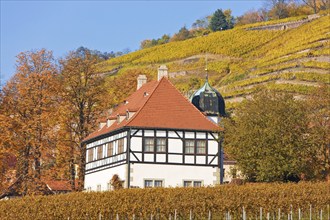 Winery Haus Hoflößnitz