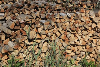 Stacked firewood, split wood in logs, stacked for drying