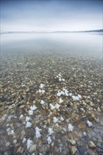 Winter at the Geiseltalsee, ice crystals, clear water and colourful pebbles, Mücheln,