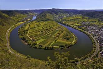 Moselle loop with vineyards and Saint Laurentius Church from the Bremmer Calmont via ferrata,