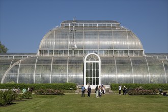 Palm House, oldest Victorian greenhouse in the world, Royal Botanic Gardens, Kew, London, England,