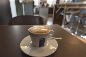 Cup of cappuccino on a table in a café, Bavaria, Germany, Europe