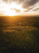 Aerial view of the Schönbuchturm in autumn forest at sunrise, Herrenberg, Germany, Europe