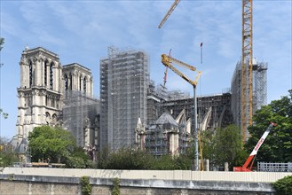 Notre Dame scaffolded, rebuilding after the fire, Paris, France, Europe