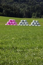 Colourful hay bales in the meadow near the village of Koppl, Osterhorngruppe, Flachgau, Land