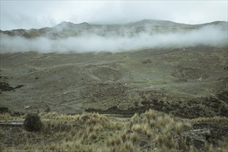 Landscape in the highlands, early morning fog, Chacapalpa, Peru, South America